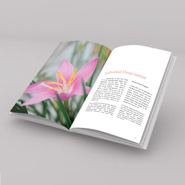 Flowers Heal (English) by Dr. Vandana Gupta - Image 2