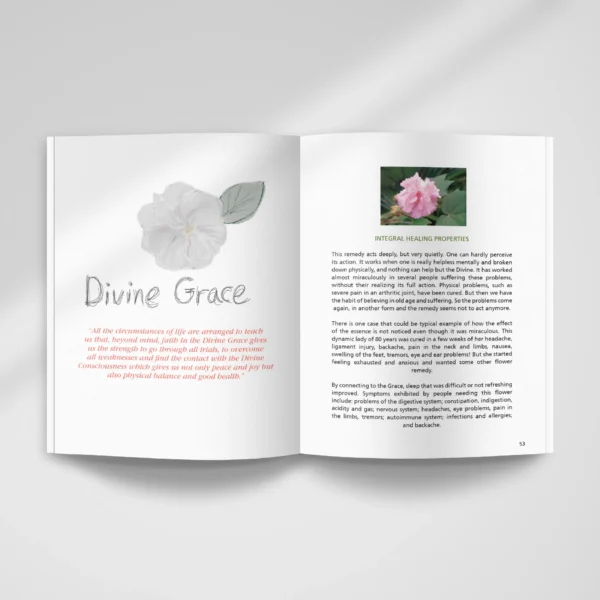 Flowers Heal (English) by Dr. Vandana Gupta - Image 3